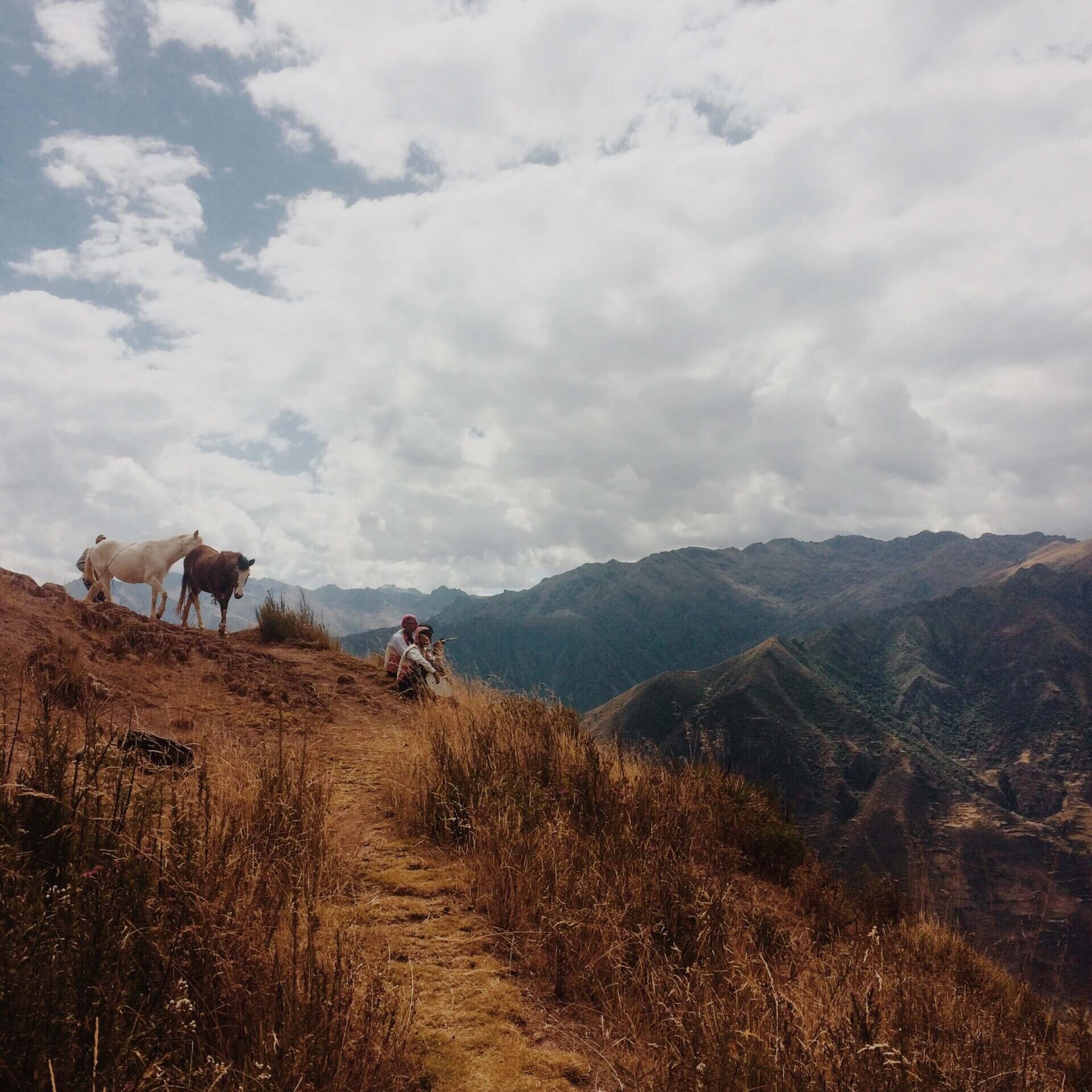 Chevaux et locaux devant montagnes au Pérou.